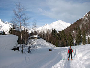 Belle le piste di fondo di Oltre il Colle! (11 febbraio 09)  -  FOTOGALLERY